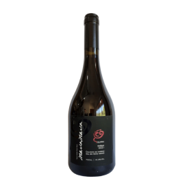 Vinho Tinto Brasileiro Maria Maria Glória Syrah